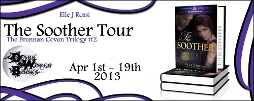 2013-TheSootherTourBanner