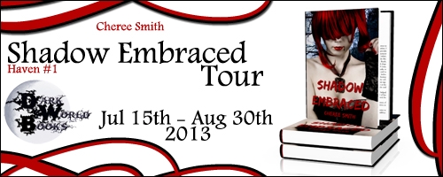 2013-ShadowEmbracedTourBanner
